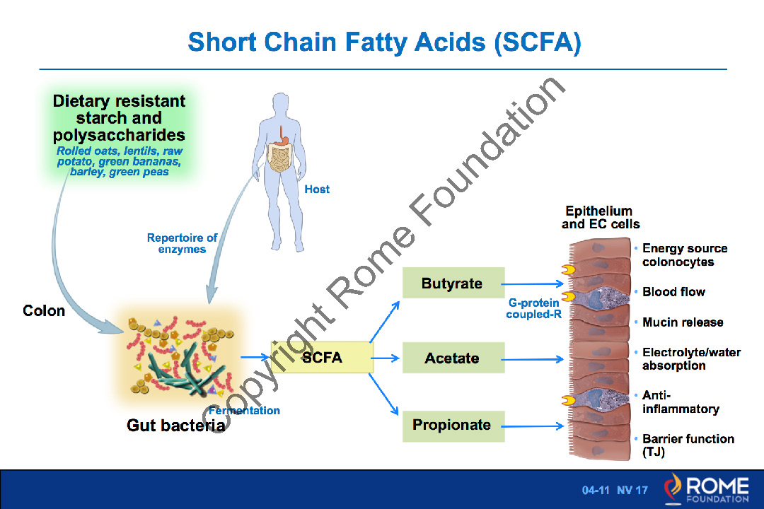 Short Chain Fatty Acids Foods