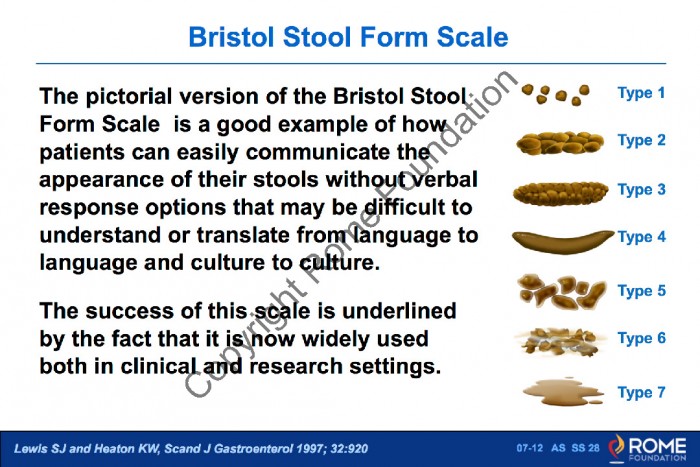 Multicultural 12 – Bristol Stool Form Scale – Rome Online