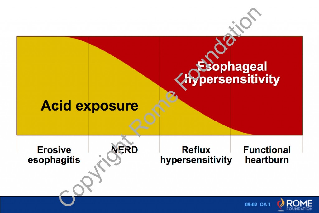Esophagus 09 GERD Spectrum Disorders and Other Functional Esophageal