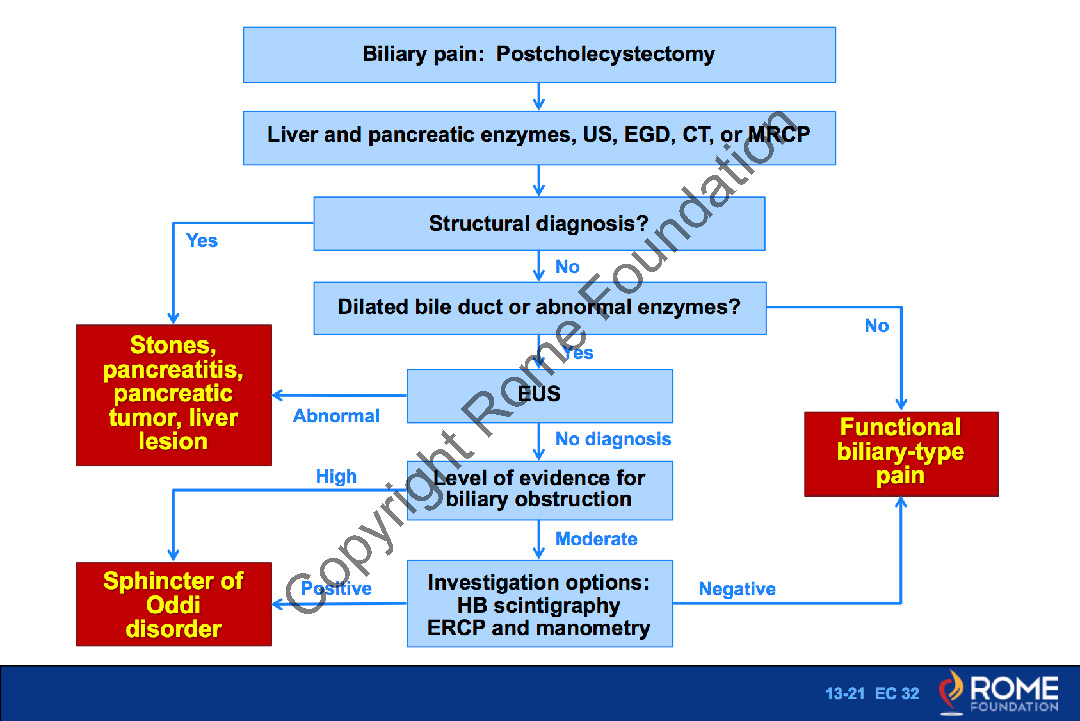 Gallbladder And SOO 21 Post Cholecystectomy Biliary Pain Rome Online